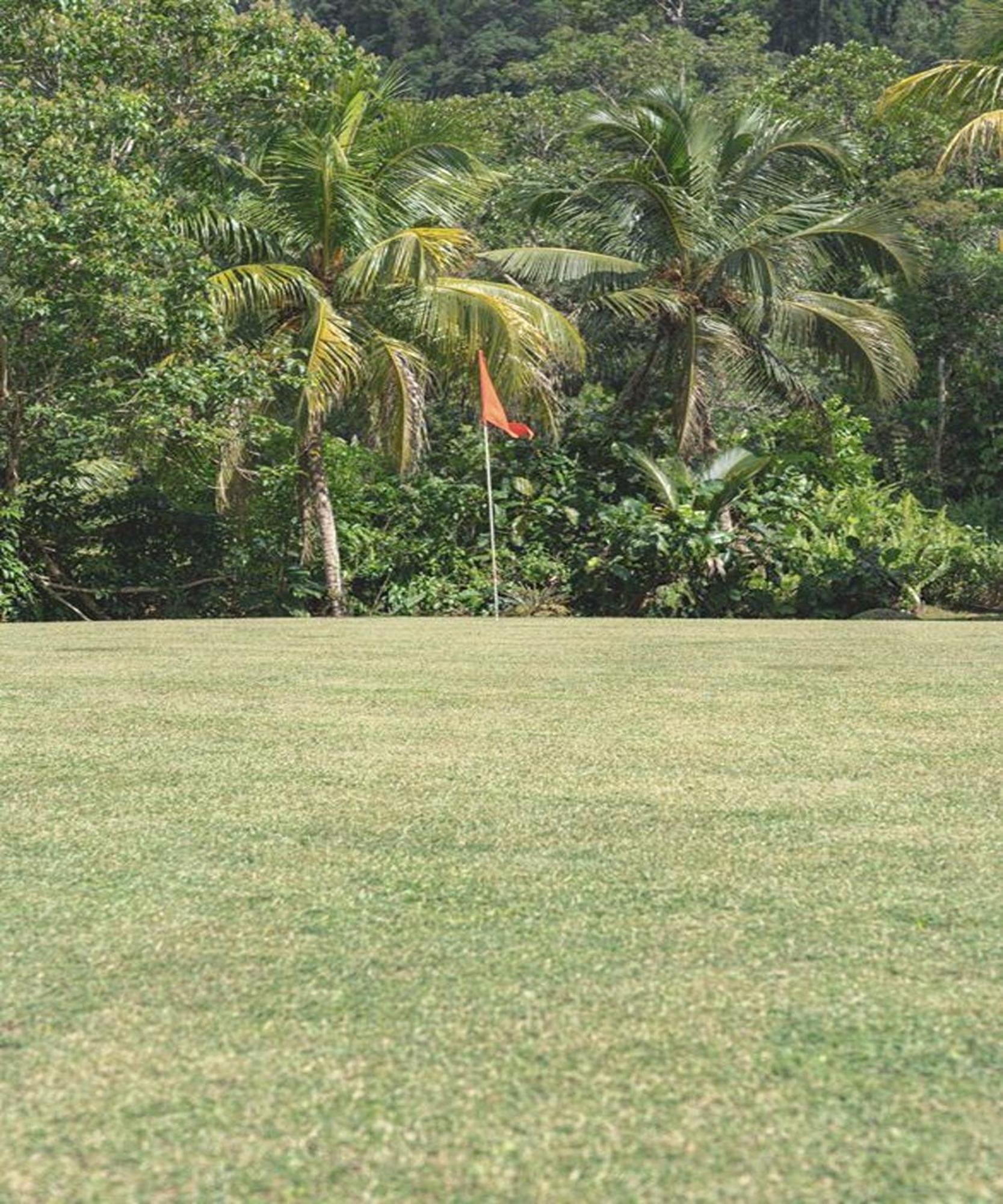 Cove 55 Resort 5*